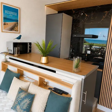 Studio Prestige Vue Ocean Sauna Prive Plage A Pied アパート ビスカロッス