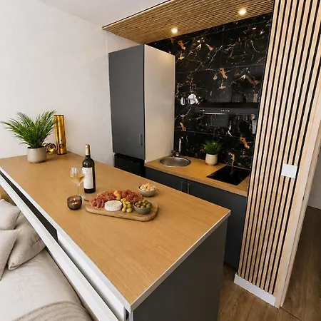 Studio Prestige Vue Ocean Sauna Prive Plage A Pied ビスカロッス